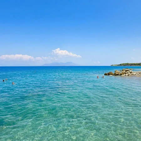 Great Greece Le Convivial