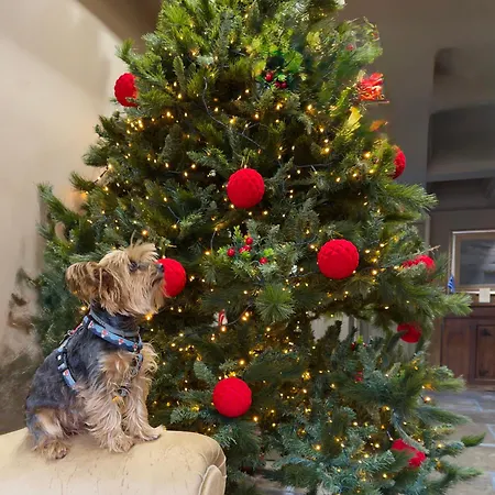 Great Greece Le Convivial 5*