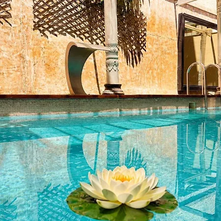 Great Greece Le Convivial & Hotel apartamentowy