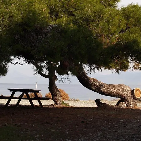 Great Greece Le Convivial & Lägenhetshotell 4*